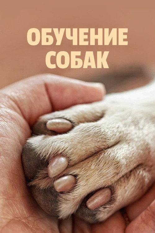 Обучение собак (2021) — постер сериала, смотреть онлайн в HD на HDRezka