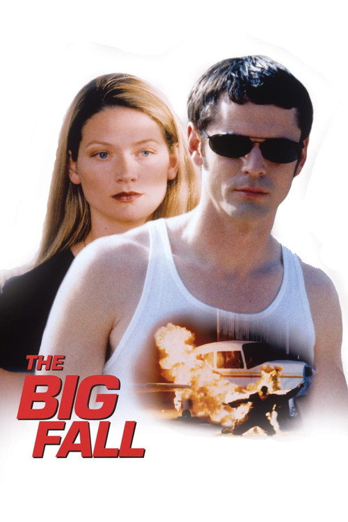 Долгое падение (1997) — постер фильма, смотреть онлайн в HD на HDRezka