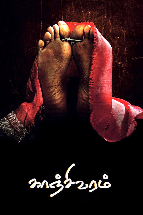 Свадебное сари (2008) — постер фильма, смотреть онлайн в HD на HDRezka