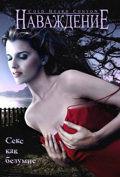 Наваждение (2008) — постер фильма, смотреть онлайн в HD на HDRezka