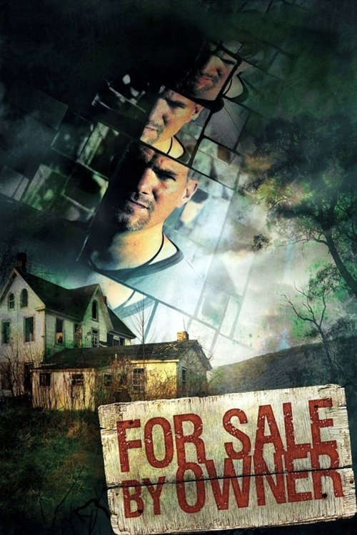 Продается владельцем (2009) — постер фильма, смотреть онлайн в HD на HDRezka