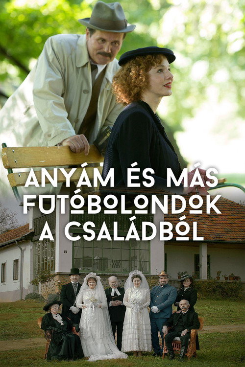 Мама и другие сумасшедшие родственники (2015) — постер фильма, смотреть онлайн в HD на HDRezka