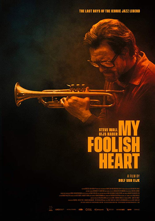 Моё глупое сердце (2018) — постер фильма, смотреть онлайн в HD на HDRezka