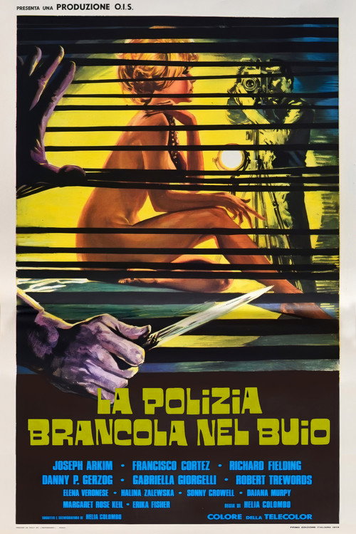 Полиция блуждает в потёмках (1972) — постер фильма, смотреть онлайн в HD на HDRezka