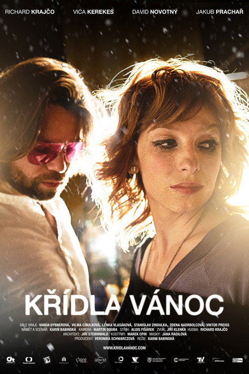 Крылатое Рождество (2013) — постер фильма, смотреть онлайн в HD на HDRezka