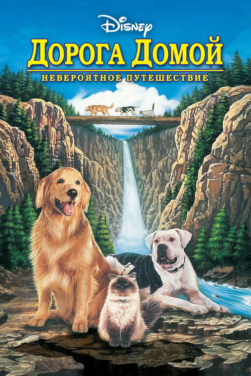 Дорога домой: Невероятное путешествие (1993) — постер фильма, смотреть онлайн в HD на HDRezka