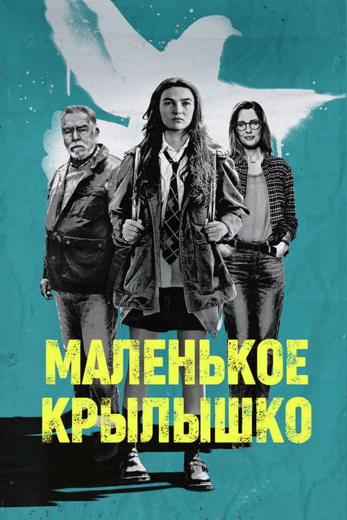 Маленькое крылышко (2024) — постер фильма, смотреть онлайн в HD на HDRezka