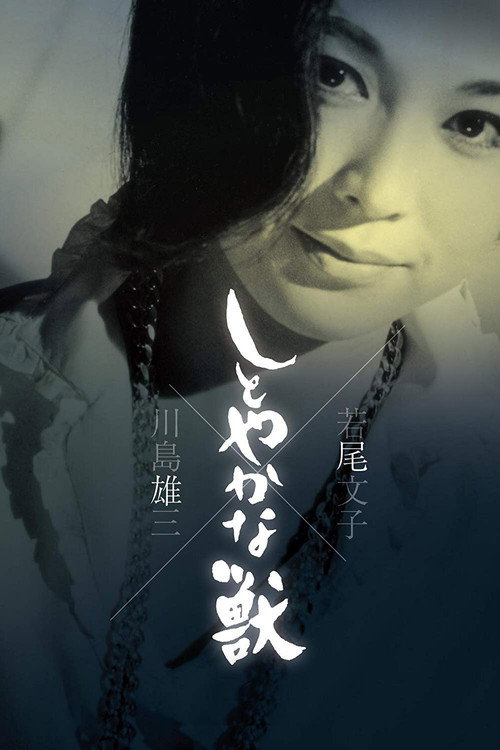 Изящное чудовище (1962) — постер фильма, смотреть онлайн в HD на HDRezka