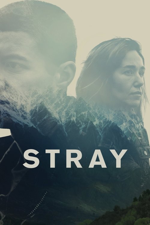 Заблудшие (2018) — постер фильма, смотреть онлайн в HD на HDRezka