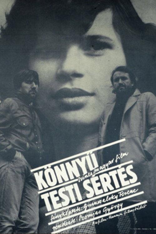 Легкое телесное повреждение (1983) — постер фильма, смотреть онлайн в HD на HDRezka