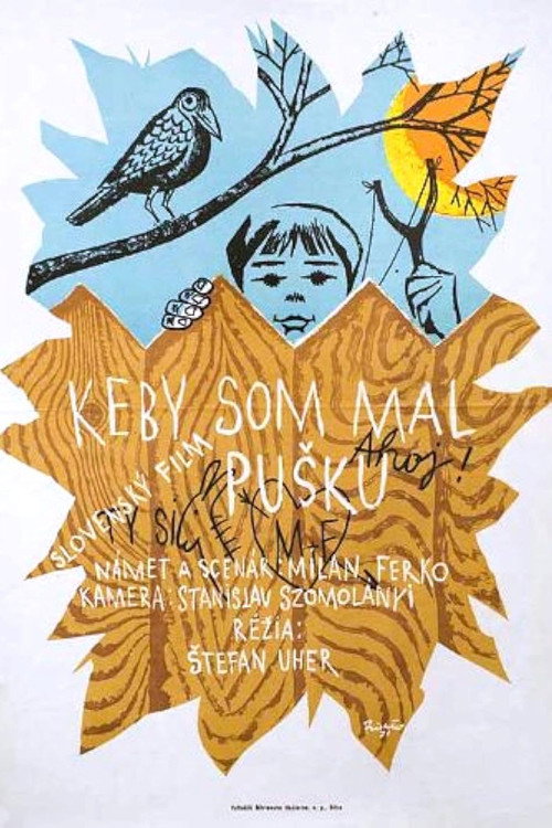Если бы у меня было ружье (1971) — постер фильма, смотреть онлайн в HD на HDRezka